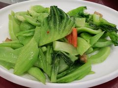 生炒水东芥-姚林轩