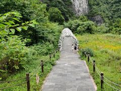 -武陵山森林公园