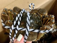 -蟹都汇(旗舰店)