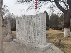 -大槐树寻根祭祖园