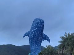 -珠海长隆海洋王国