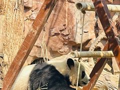 -五龙山野生动物王国