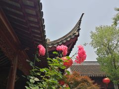-檀园