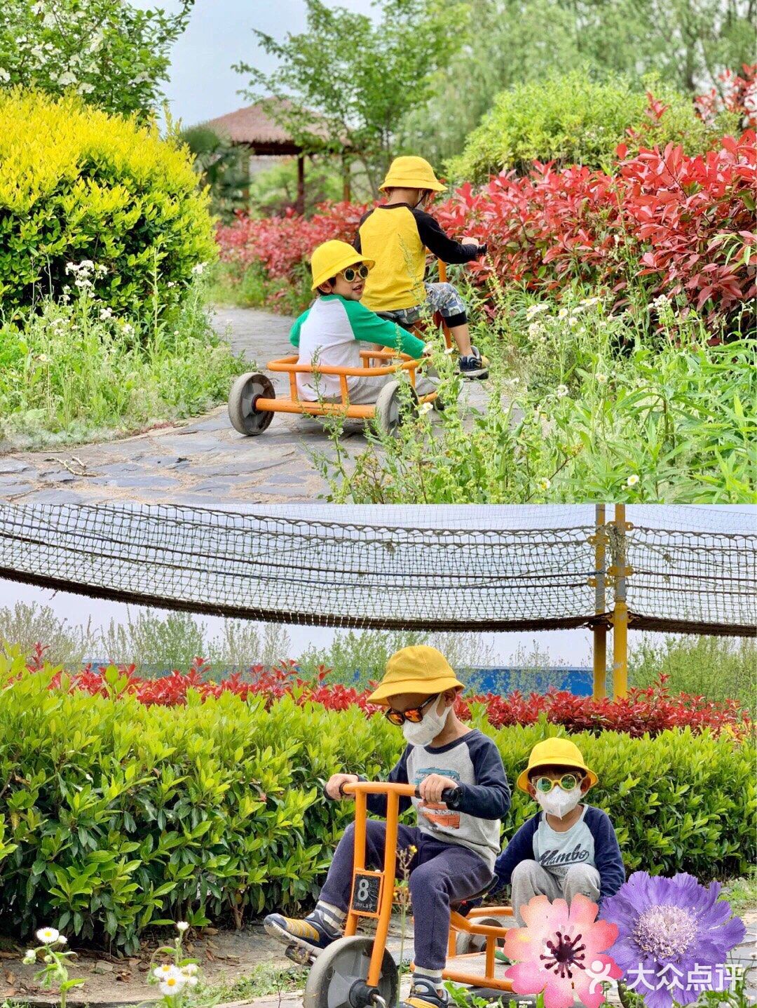 周末溜娃👉种动员亲子农场👈