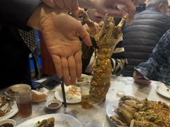 -富来美食