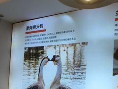 -陆记鹅庄·潮汕菜·狮头鹅(大仟里店)
