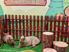 -万泰汇购物中心