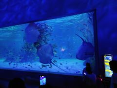 -常州海昌海洋探索馆