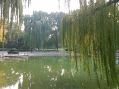 android_upload_pic-玲珑塔公园