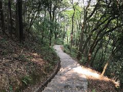 -广州市帽峰山景区