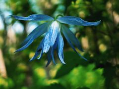 -白草畔自然风景区