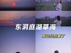-湖南东洞庭湖国家级自然保护区