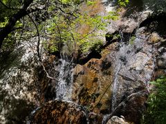 -王顺山国家森林公园