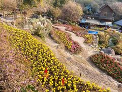 -广东天露山旅游度假区