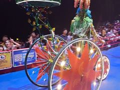 -广州长隆国际大马戏