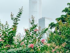 -广州珠江公园