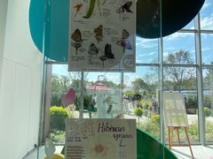 -上海植物园-4号门售票处