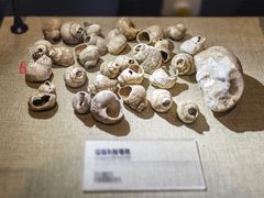 -柳州白莲洞洞穴科学博物馆