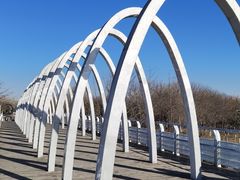 -大兴滨河森林公园