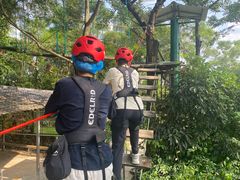-芦仙山景区-飞越丛林探险乐园