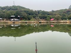 -凤岗南门山森林公园