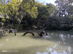 -汇龙潭