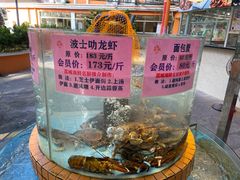 -荔城生鲜盛宴(番禺旗舰店)