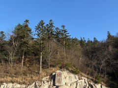 -大围山国家森林公园