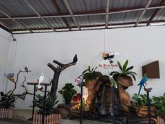 -吉隆坡雀鸟公园
