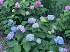 -西湖风景区-江洋畈生态公园