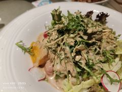 生拌苦菊-老客站酒楼(金花南路店)