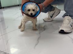 -嘉馨宠物医院·CT影像转诊·心脏科·犬猫全科诊疗中心(下沙大学城院区)