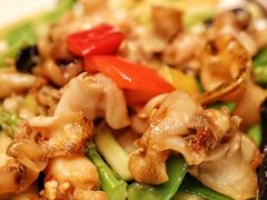 -佛山顺德香云纱园林酒店-宴会厅