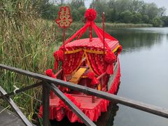 -溱湖国家湿地公园