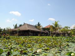 -Bebek Joni Restaurant