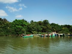 -东寨港红树林旅游区