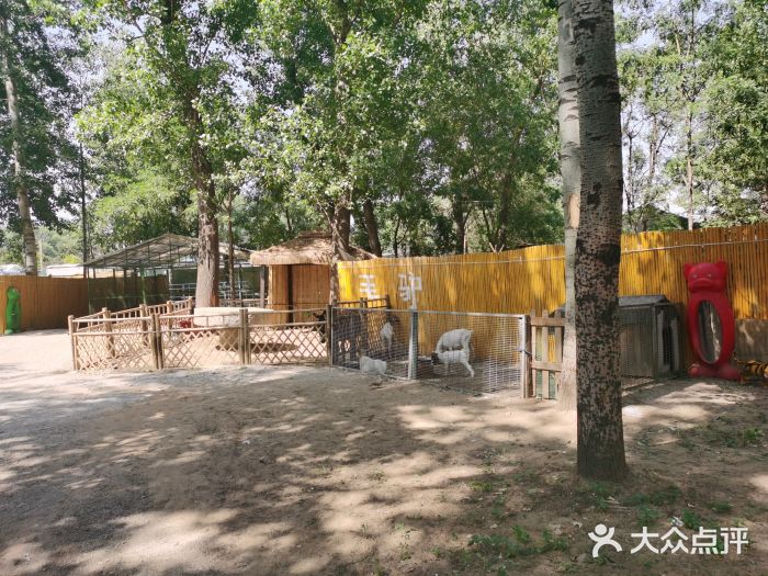 1982农场图片
