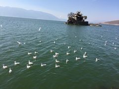 -大理洱海