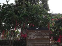 -寨沙侗寨(侗族歌堂)