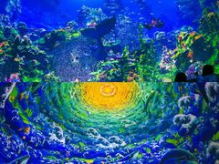 -海合安武汉极地海洋公园