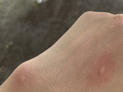 -Lamant Manor已闻花名關於藍