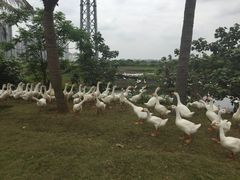 -海口站