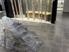-ARC'TERYX始祖鸟(北京王府中环店)