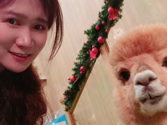 -藦茜花园宠物主题亲子互动体验馆(国顺东路店)
