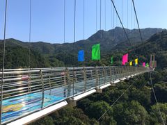 -木兰云雾山