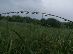 -西湖风景区-江洋畈生态公园