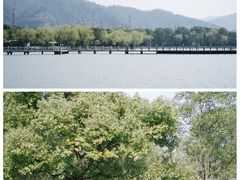 -天下玉苑