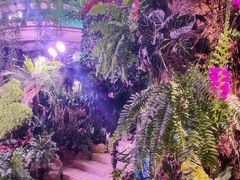 -正佳雨林生态植物园