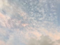 -珊瑚岛