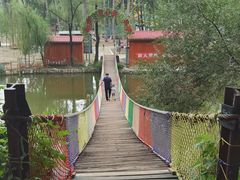 -东方巨龟苑景区